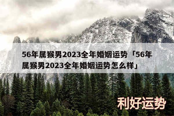 56年属猴男2024全年婚姻运势及56年属猴男2024全年婚姻运势怎么样