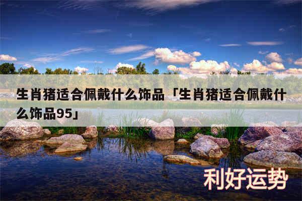 生肖猪适合佩戴什么饰品及生肖猪适合佩戴什么饰品95