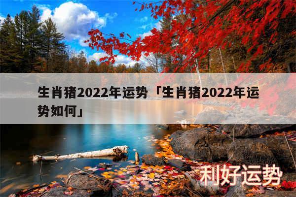 生肖猪2024年运势及生肖猪2024年运势如何