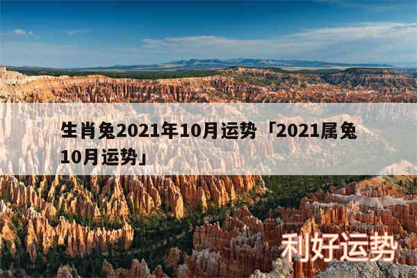 生肖兔2024年10月运势及2024属兔10月运势