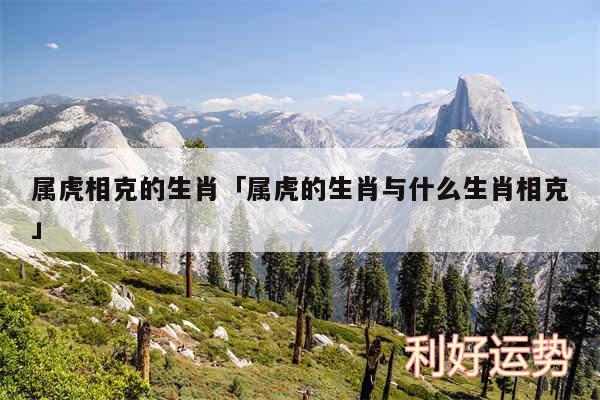 属虎相克的生肖及属虎的生肖与什么生肖相克
