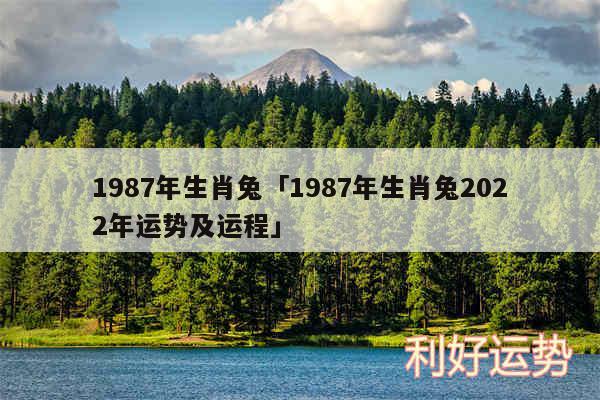 1987年生肖兔及1987年生肖兔2024年运势及运程