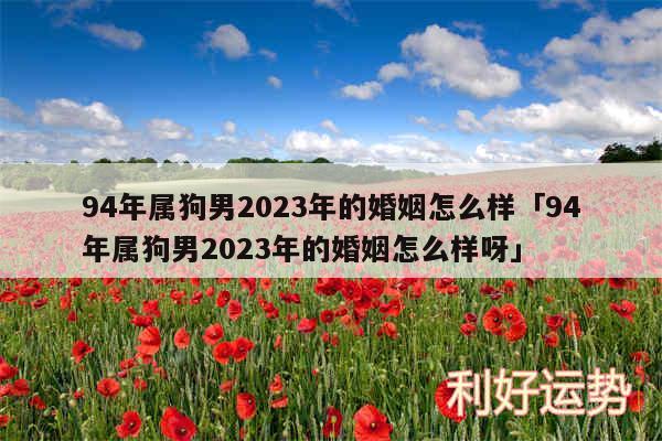 94年属狗男2024年的婚姻怎么样及94年属狗男2024年的婚姻怎么样呀