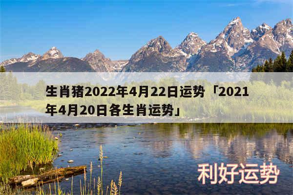 生肖猪2024年4月22日运势及2024年4月20日各生肖运势