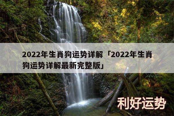 2024年生肖狗运势详解及2024年生肖狗运势详解最新完整版