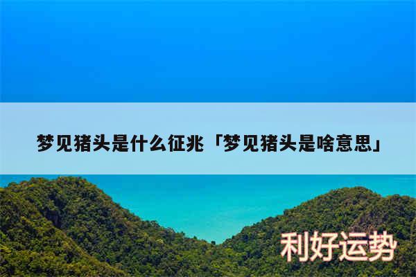 梦见猪头是什么征兆及梦见猪头是啥意思