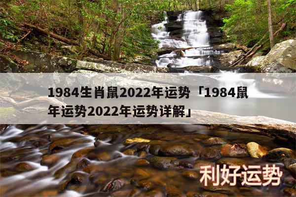 1984生肖鼠2024年运势及1984鼠年运势2024年运势详解