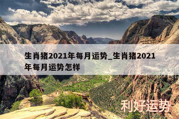 生肖猪2024年每月运势_生肖猪2024年每月运势怎样