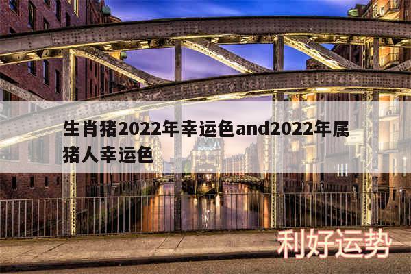 生肖猪2024年幸运色and2024年属猪人幸运色