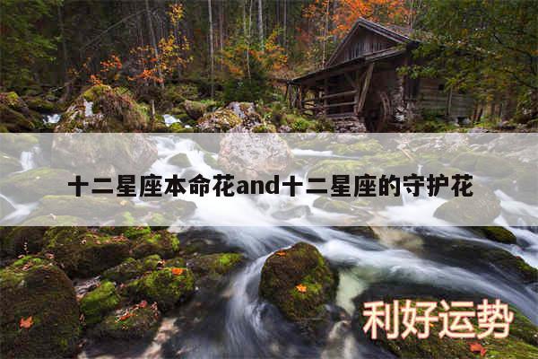 十二星座本命花and十二星座的守护花