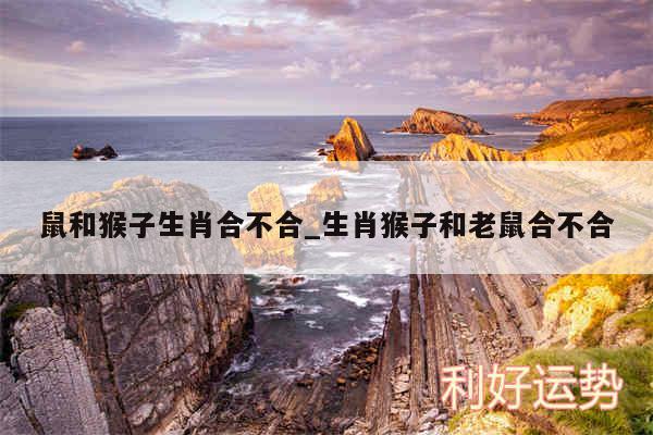 鼠和猴子生肖合不合_生肖猴子和老鼠合不合