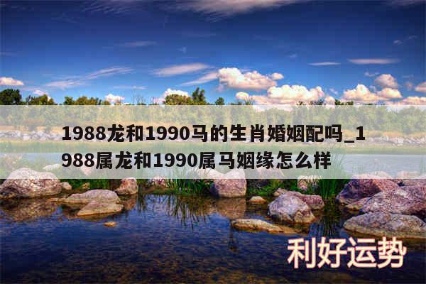 1988龙和1990马的生肖婚姻配吗_1988属龙和1990属马姻缘怎么样