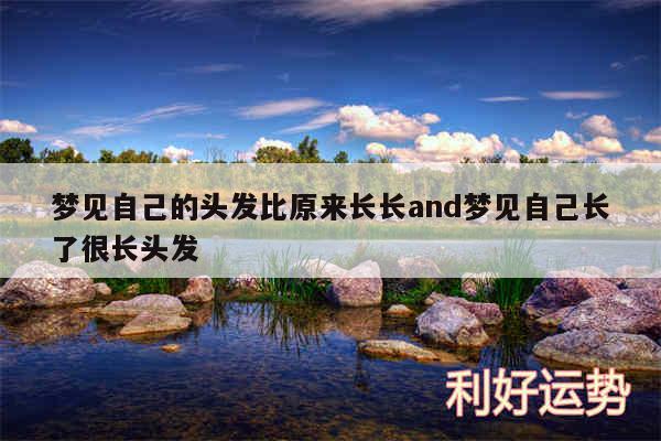 梦见自己的头发比原来长长and梦见自己长了很长头发