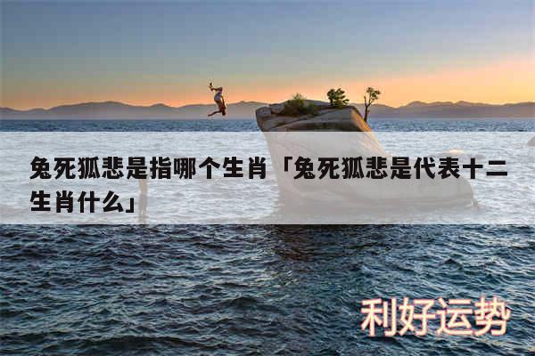 兔死狐悲是指哪个生肖及兔死狐悲是代表十二生肖什么