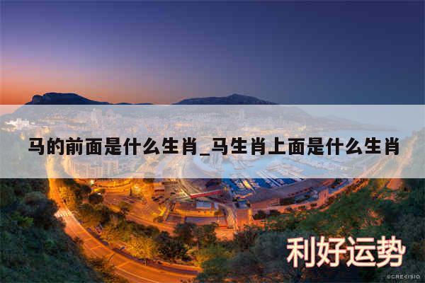 马的前面是什么生肖_马生肖上面是什么生肖