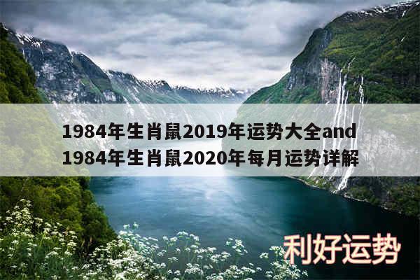 1984年生肖鼠2019年运势大全and1984年生肖鼠2020年每月运势详解