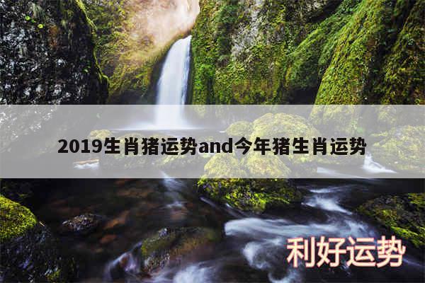 2019生肖猪运势and今年猪生肖运势