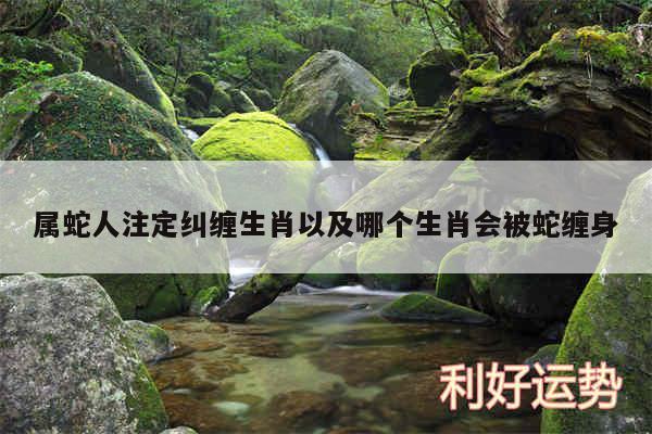 属蛇人注定纠缠生肖以及哪个生肖会被蛇缠身