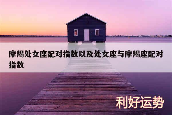 摩羯处女座配对指数以及处女座与摩羯座配对指数