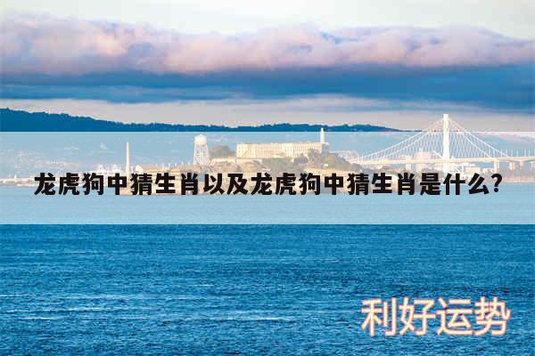 龙虎狗中猜生肖以及龙虎狗中猜生肖是什么?