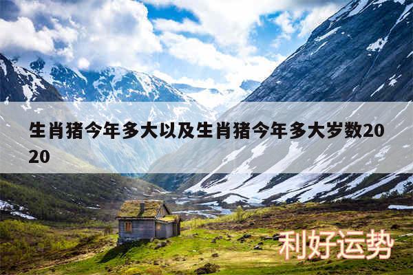 生肖猪今年多大以及生肖猪今年多大岁数2020