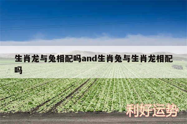 生肖龙与兔相配吗and生肖兔与生肖龙相配吗