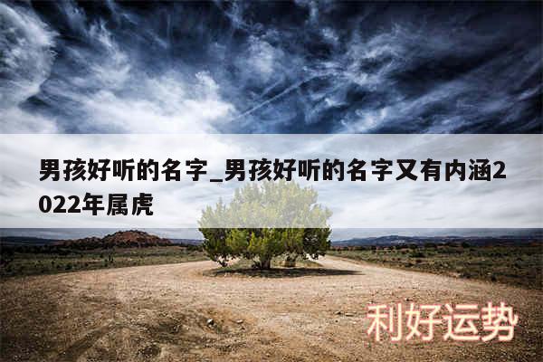 男孩好听的名字_男孩好听的名字又有内涵2024年属虎