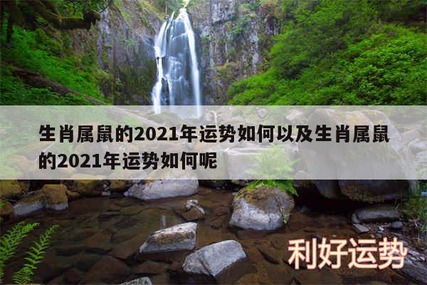 生肖属鼠的2024年运势如何以及生肖属鼠的2024年运势如何呢