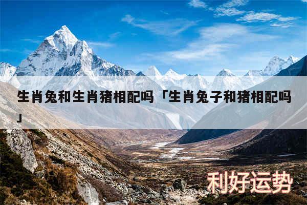 生肖兔和生肖猪相配吗及生肖兔子和猪相配吗