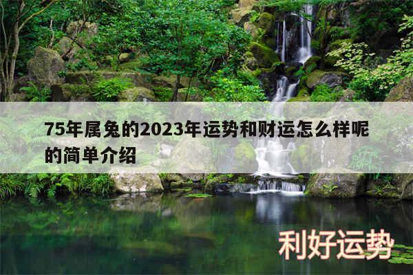 75年属兔的2024年运势和财运怎么样呢的简单介绍