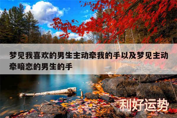 梦见我喜欢的男生主动牵我的手以及梦见主动牵暗恋的男生的手