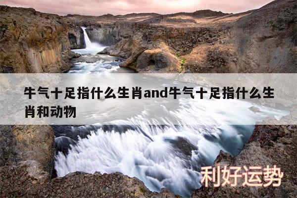 牛气十足指什么生肖and牛气十足指什么生肖和动物