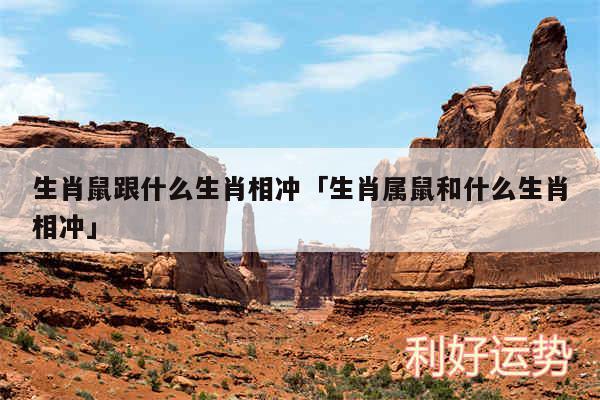 生肖鼠跟什么生肖相冲及生肖属鼠和什么生肖相冲