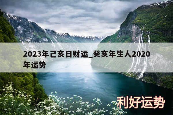 2024年己亥日财运_癸亥年生人2020年运势