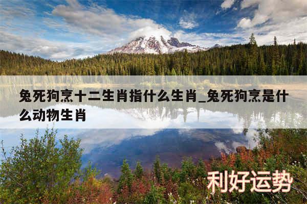 兔死狗烹十二生肖指什么生肖_兔死狗烹是什么动物生肖
