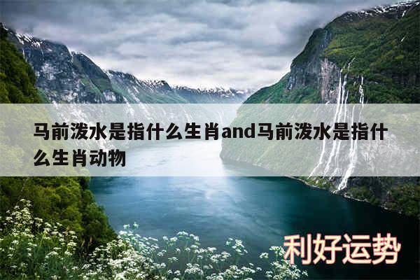 马前泼水是指什么生肖and马前泼水是指什么生肖动物