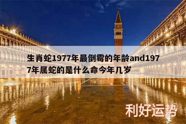 生肖蛇1977年最倒霉的年龄and1977年属蛇的是什么命今年几岁