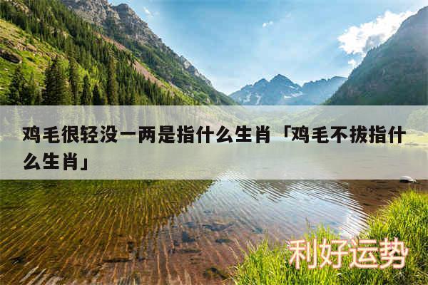 鸡毛很轻没一两是指什么生肖及鸡毛不拔指什么生肖