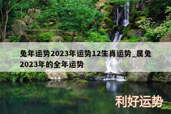 兔年运势2024年运势12生肖运势_属兔2024年的全年运势