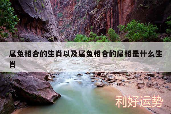 属兔相合的生肖以及属兔相合的属相是什么生肖