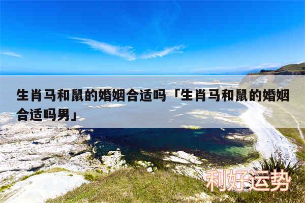 生肖马和鼠的婚姻合适吗及生肖马和鼠的婚姻合适吗男