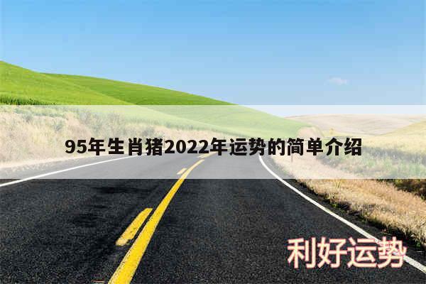 95年生肖猪2024年运势的简单介绍