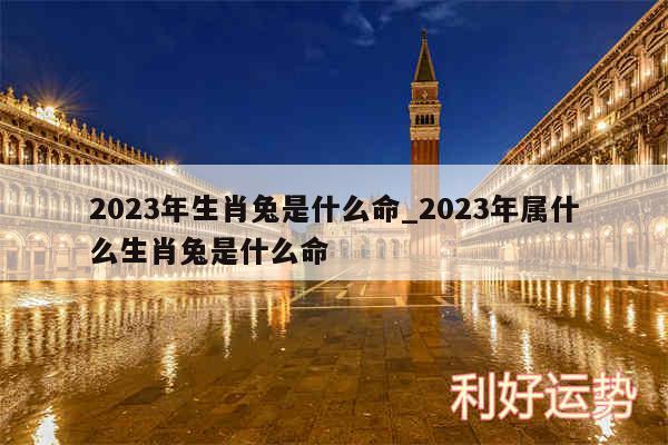 2024年生肖兔是什么命_2024年属什么生肖兔是什么命