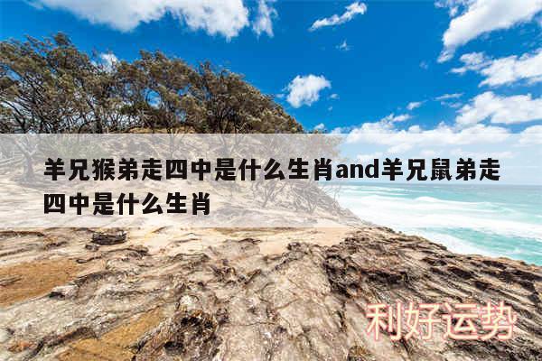 羊兄猴弟走四中是什么生肖and羊兄鼠弟走四中是什么生肖