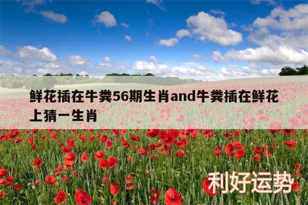 鲜花插在牛粪56期生肖and牛粪插在鲜花上猜一生肖