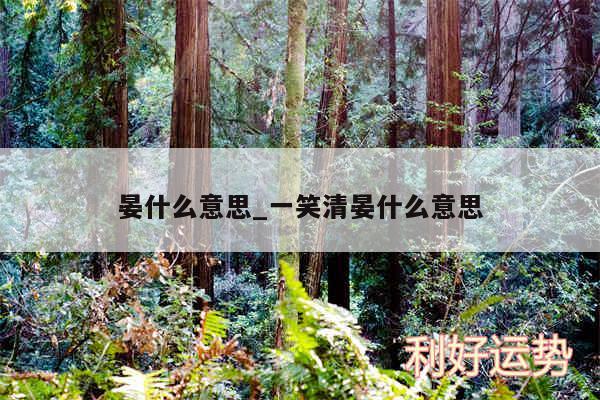 晏什么意思_一笑清晏什么意思