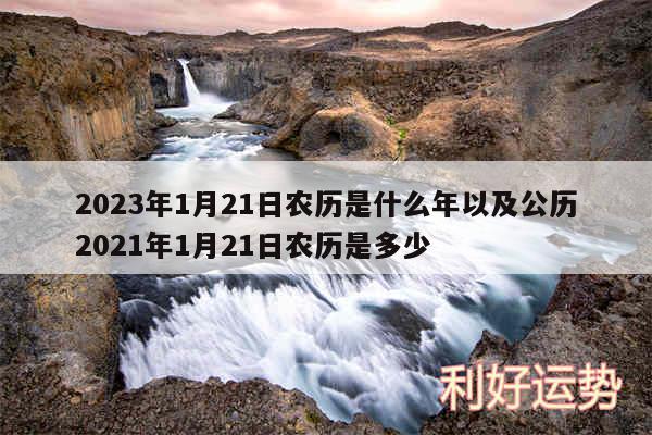 2024年1月21日农历是什么年以及公历2024年1月21日农历是多少