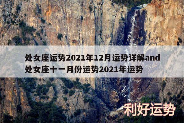 处女座运势2024年12月运势详解and处女座十一月份运势2024年运势
