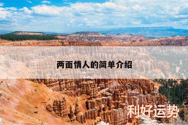 两面情人的简单介绍