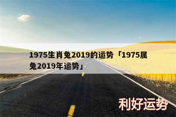1975生肖兔2019的运势及1975属兔2019年运势